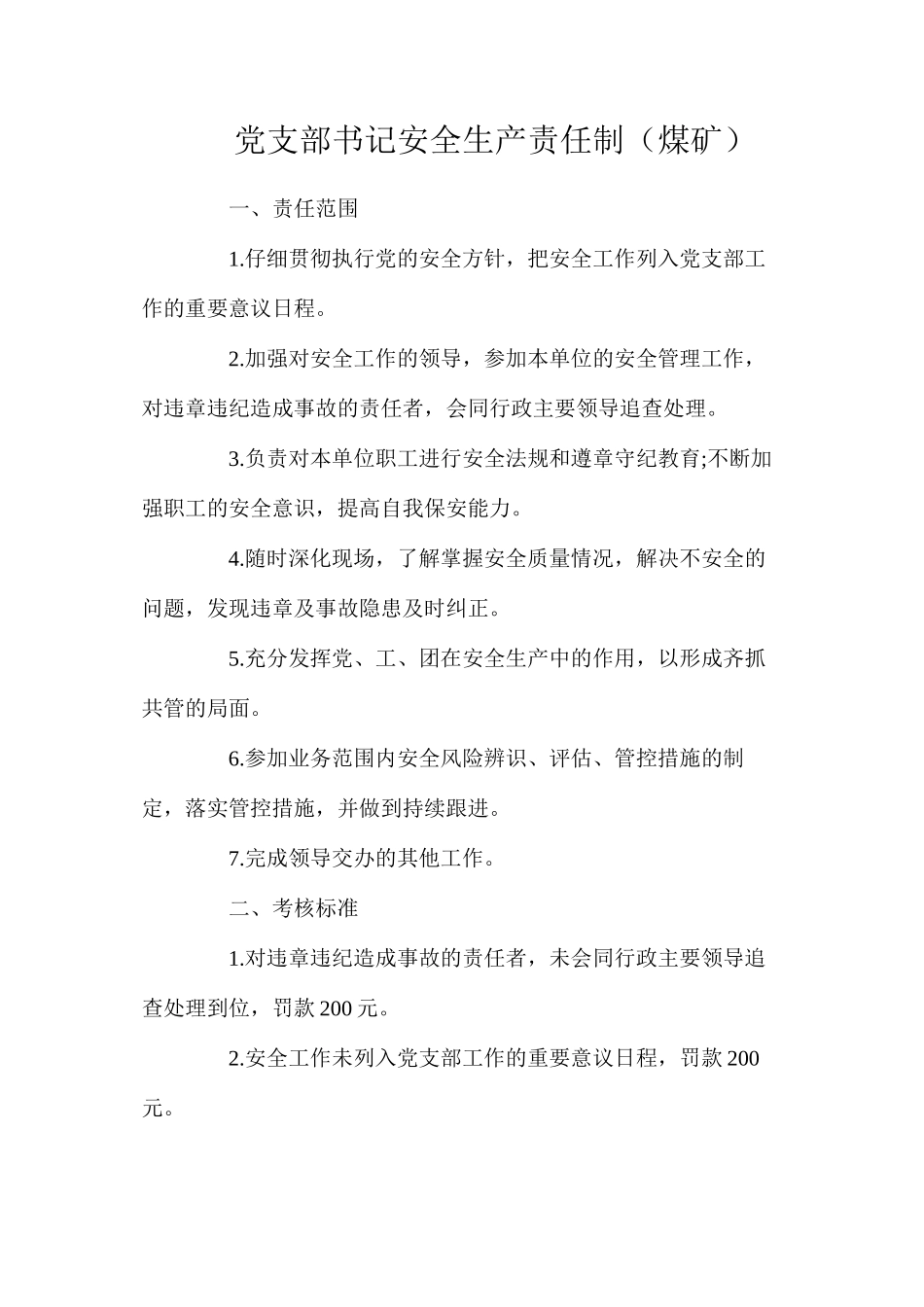 党支部书记安全生产责任制（煤矿）_第1页