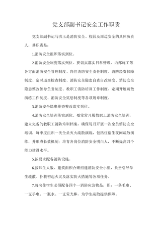 党支部副书记安全工作职责