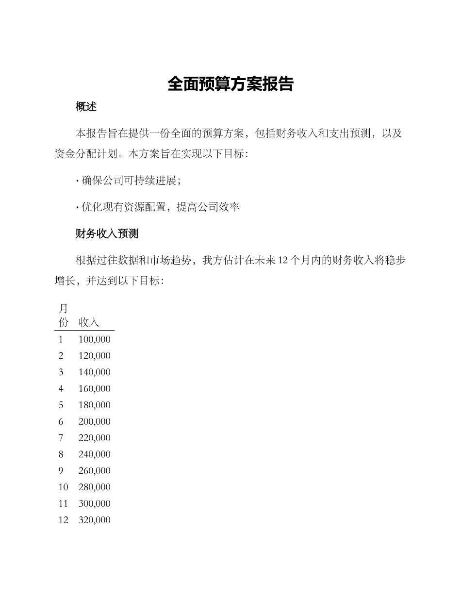 全面预算方案报告_第1页
