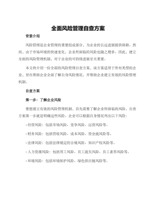 全面风险管理自查方案