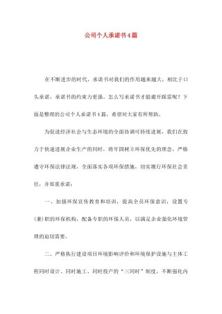 公司个人承诺书4篇