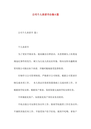 公司个人承诺书合集6篇