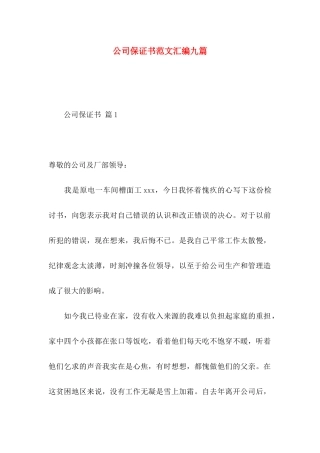 公司保证书范文汇编九篇