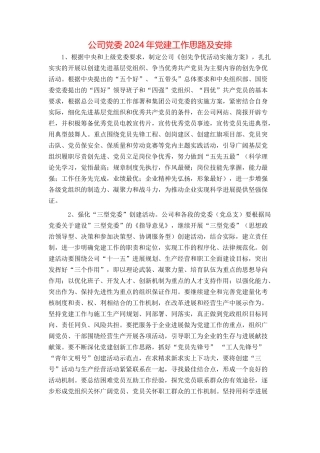 公司党委2024年党建工作思路及安排