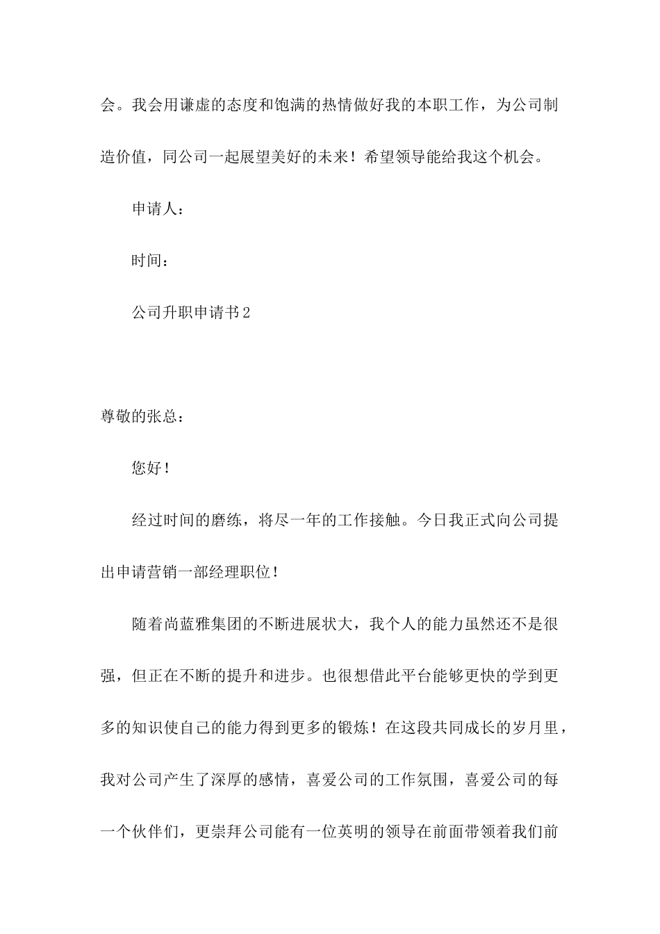 公司升职申请书_第2页