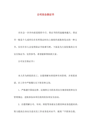 公司安全保证书 (2)