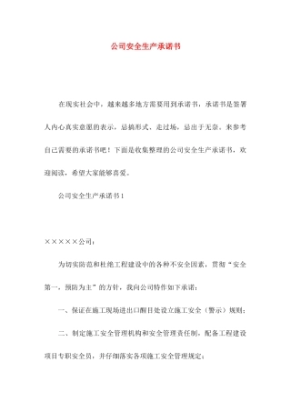 公司安全生产承诺书