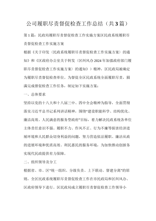 公司履职尽责督促检查工作总结（共3篇）