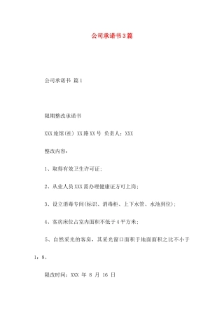 公司承诺书3篇 (2)
