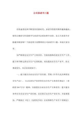 公司承诺书三篇（二）