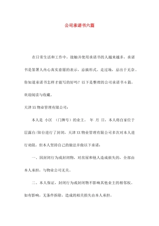 公司承诺书六篇