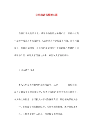 公司承诺书模板5篇