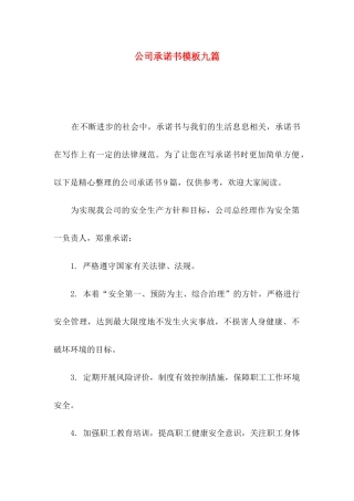 公司承诺书模板九篇（一）