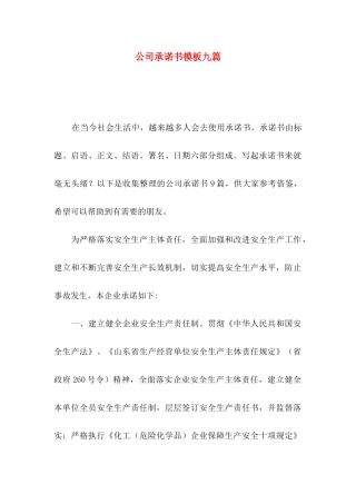 公司承诺书模板九篇