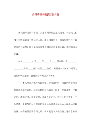 公司承诺书模板汇总六篇（一）