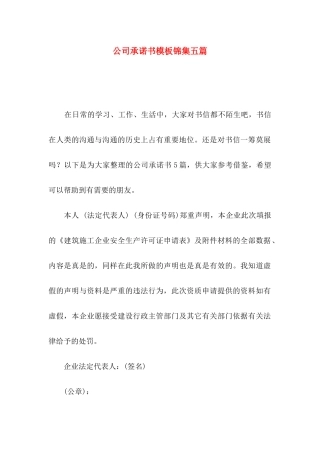 公司承诺书模板锦集五篇