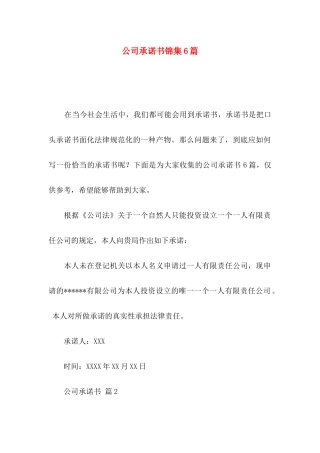 公司承诺书锦集6篇