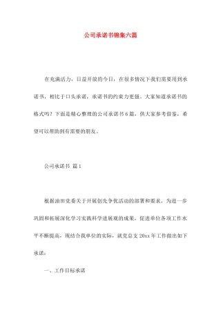 公司承诺书锦集六篇