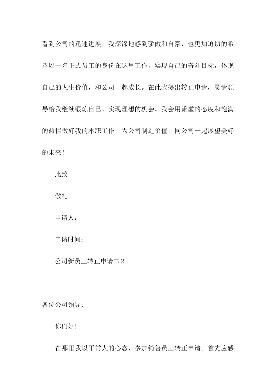 公司新员工转正申请书 _第3页