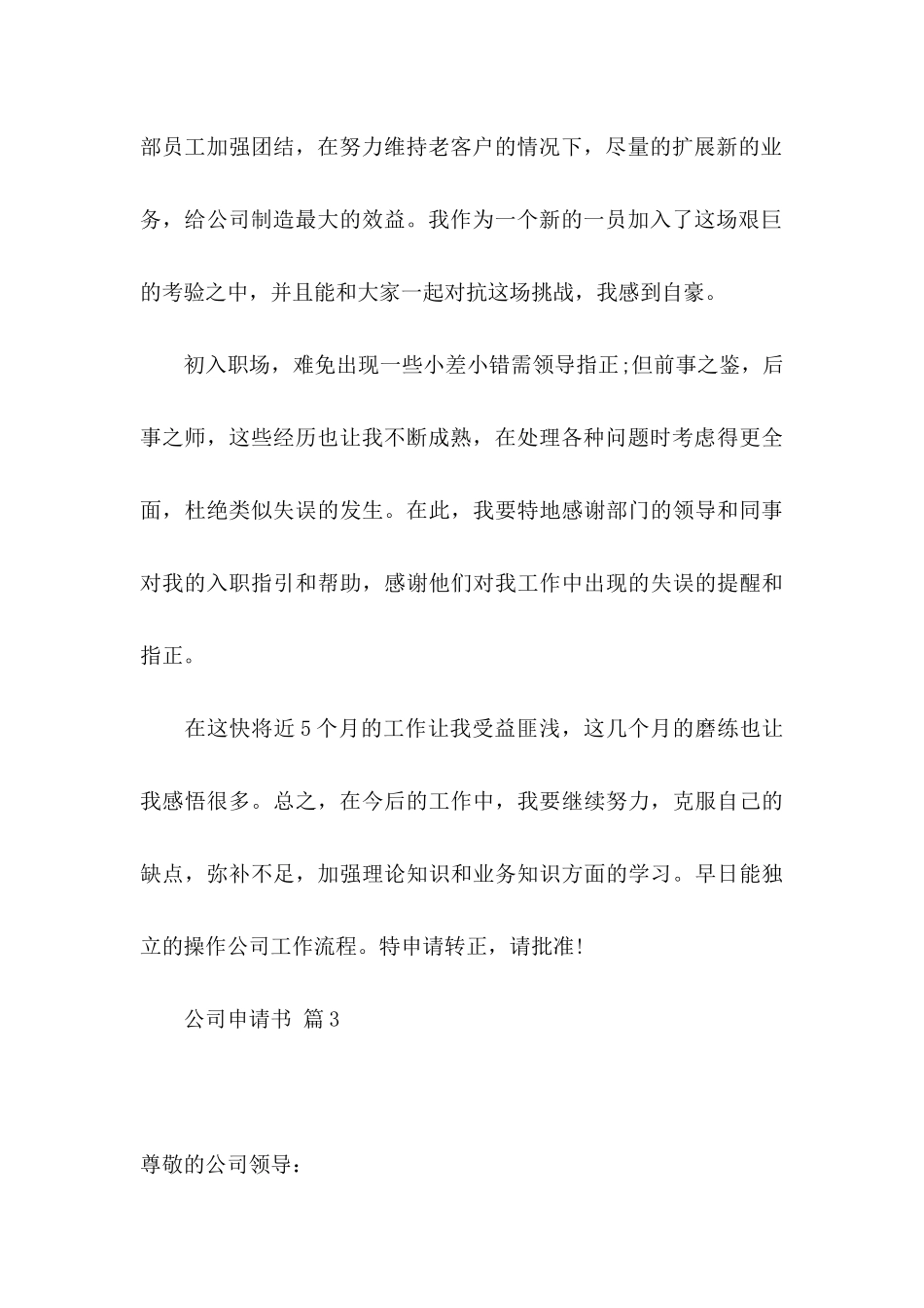 公司申请书四篇 _第3页