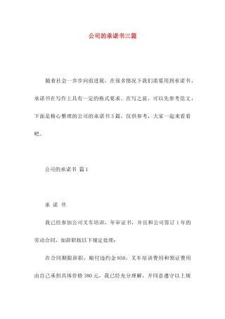公司的承诺书三篇（一）
