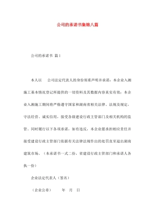 公司的承诺书集锦八篇