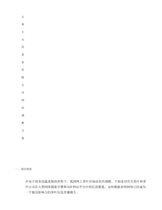 公司网站调整方案概要