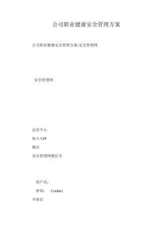 公司职业健康安全管理方案
