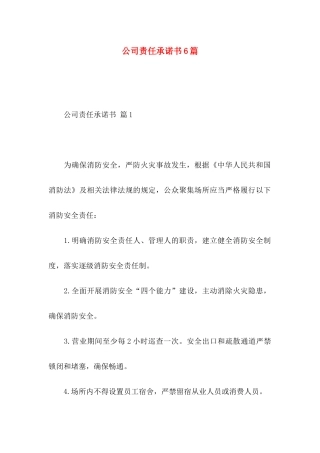 公司责任承诺书6篇