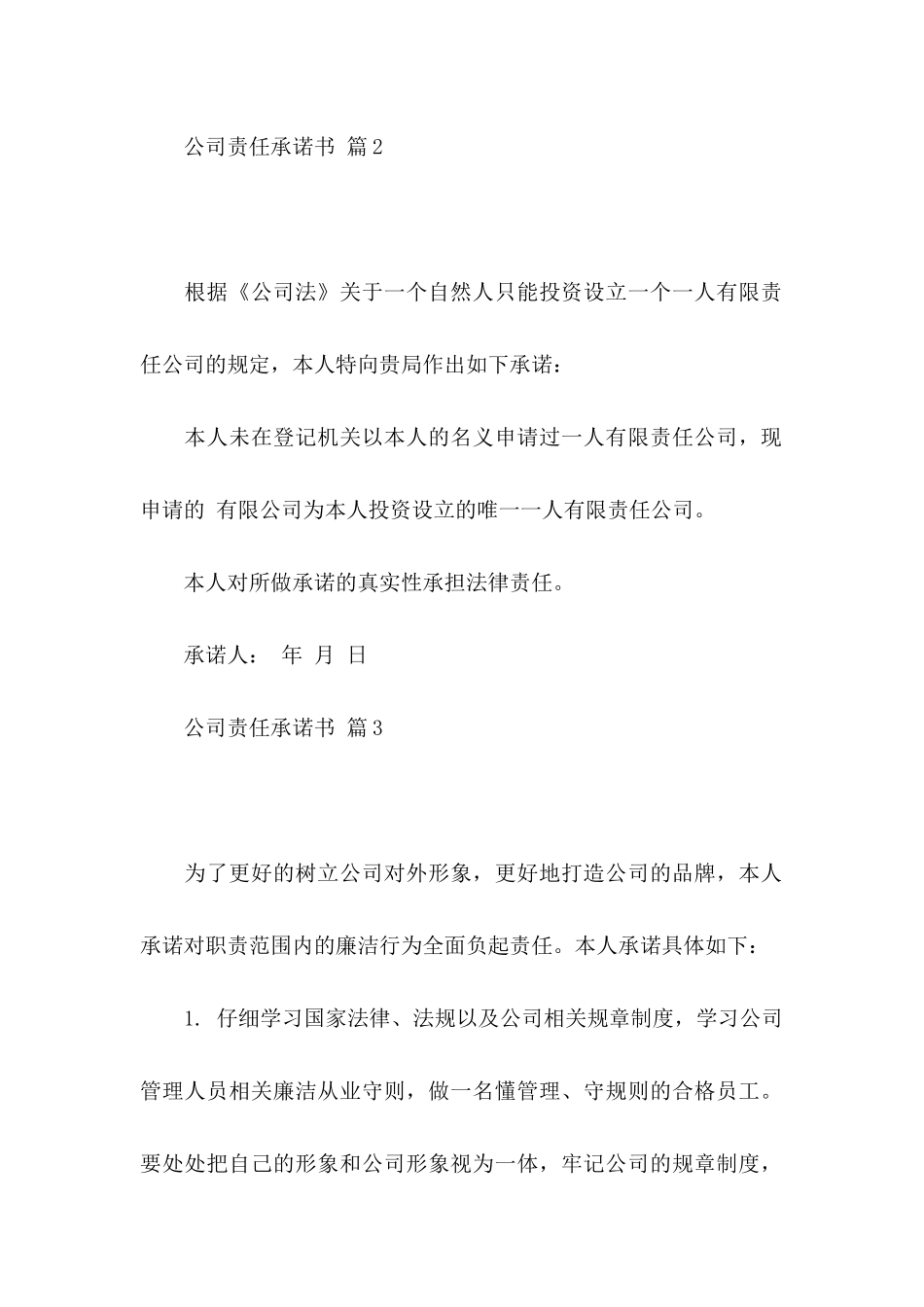 公司责任承诺书模板合集5篇_第2页