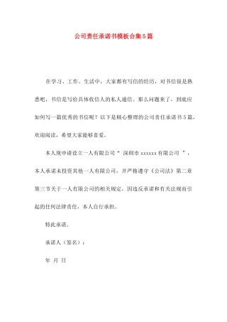 公司责任承诺书模板合集5篇