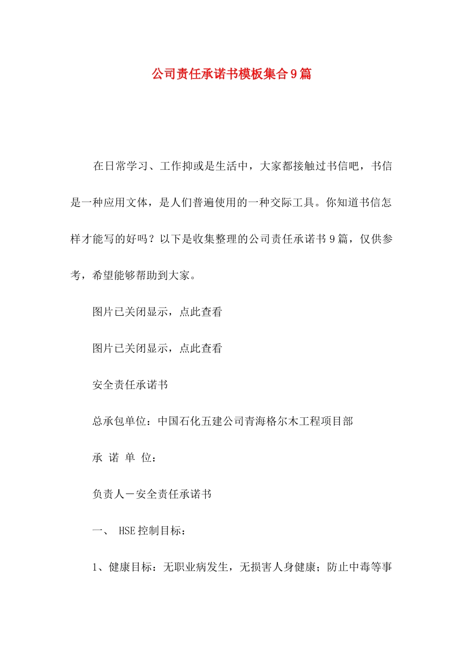 公司责任承诺书模板集合9篇_第1页