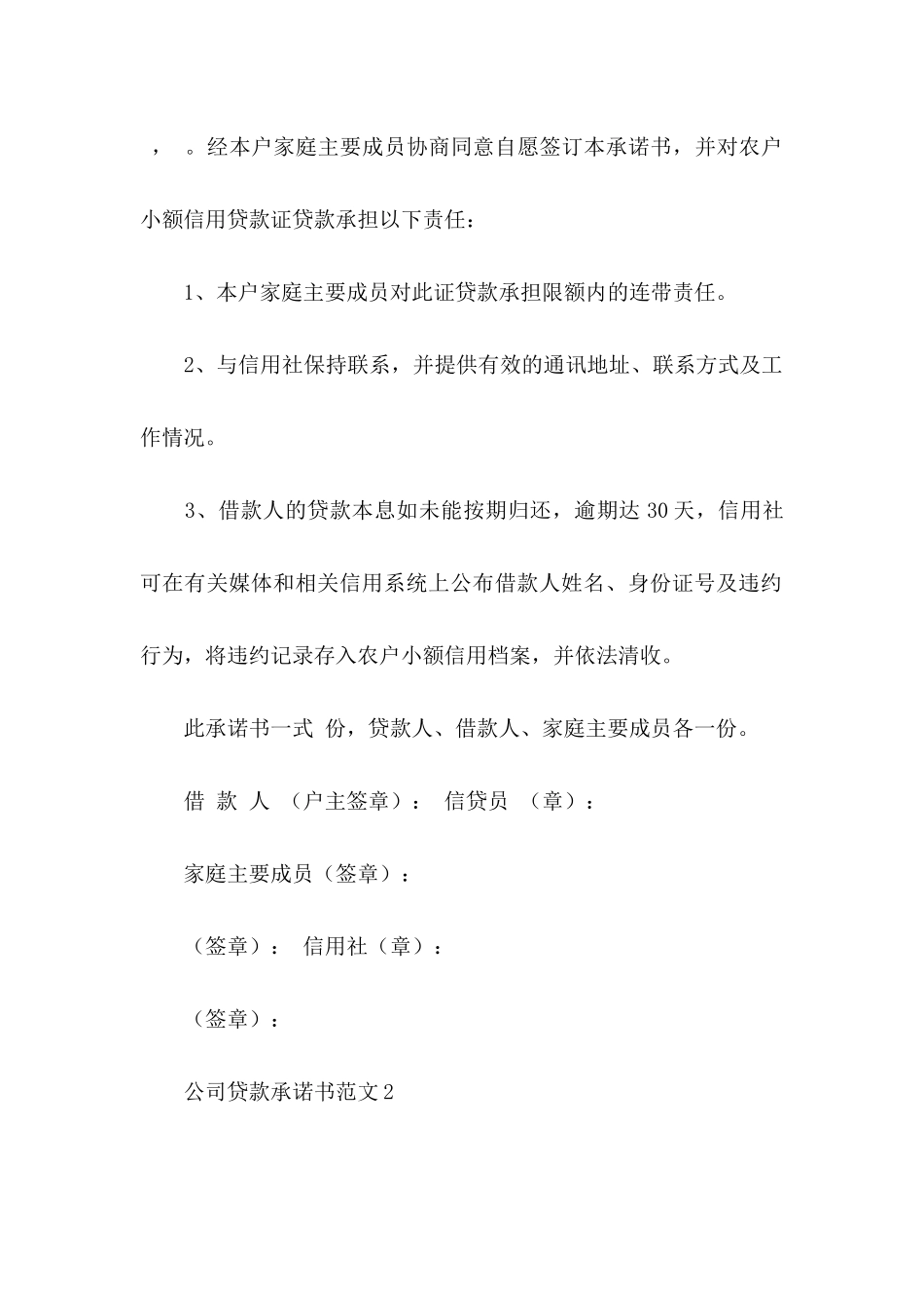 公司贷款承诺书范文_第2页