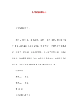 公司还款承诺书 