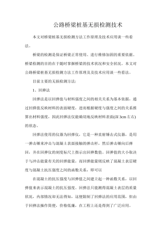 公路桥梁桩基无损检测技术