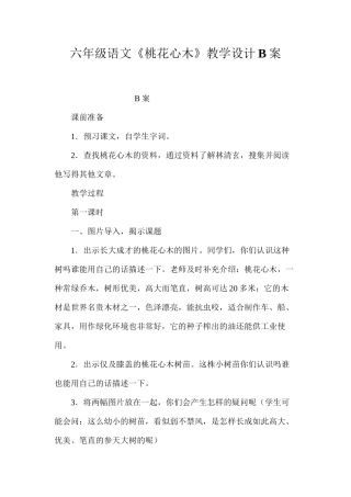 六年级语文《桃花心木》教学设计B案