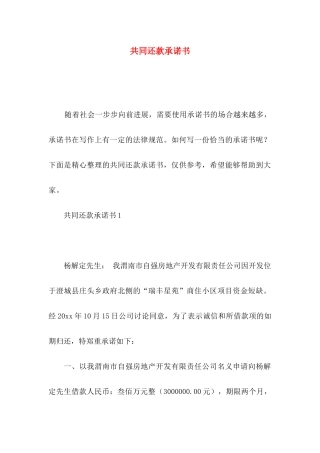 共同还款承诺书