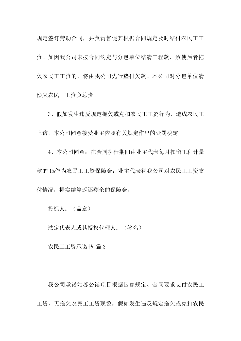 关于农民工工资承诺书范文汇总六篇_第3页