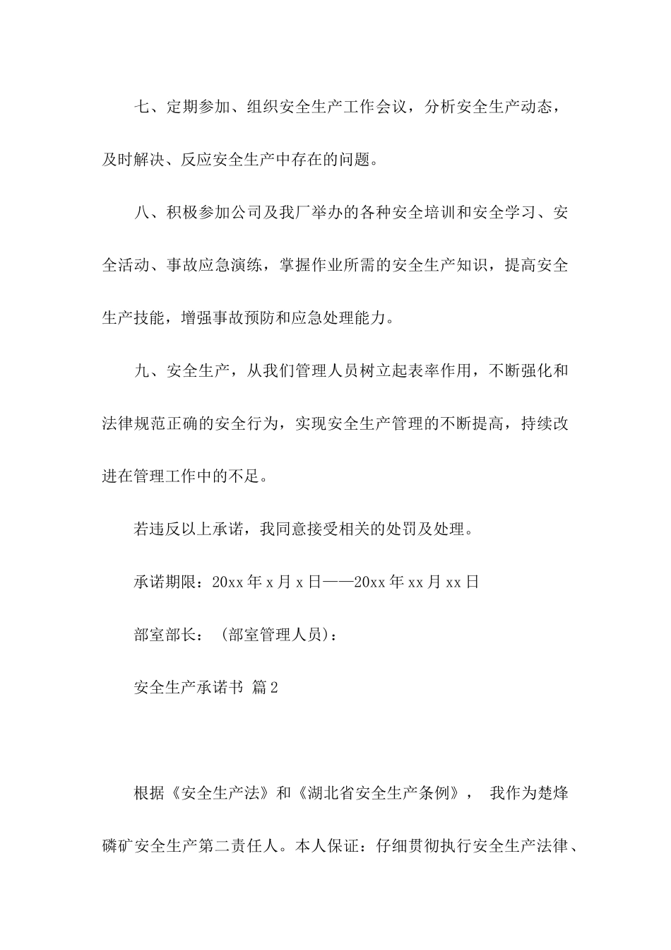 关于安全生产承诺书锦集七篇_第3页