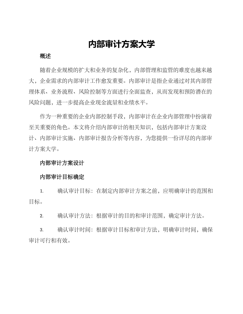 内部审计方案大学_第1页