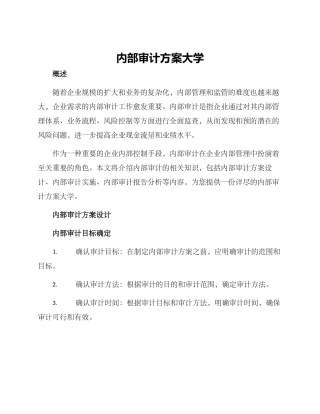 内部审计方案大学