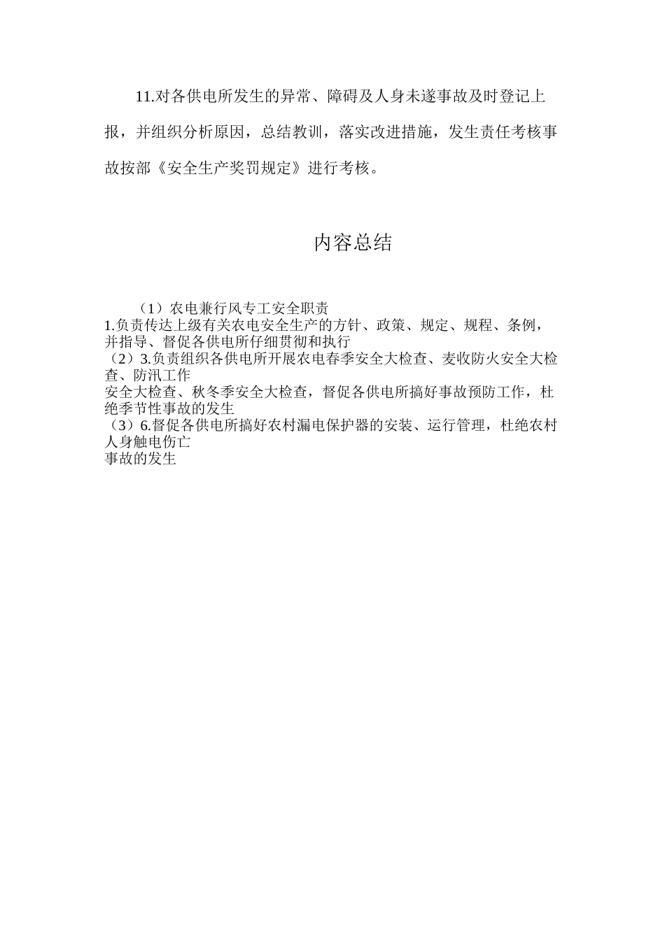 农电兼行风专工安全职责_第2页