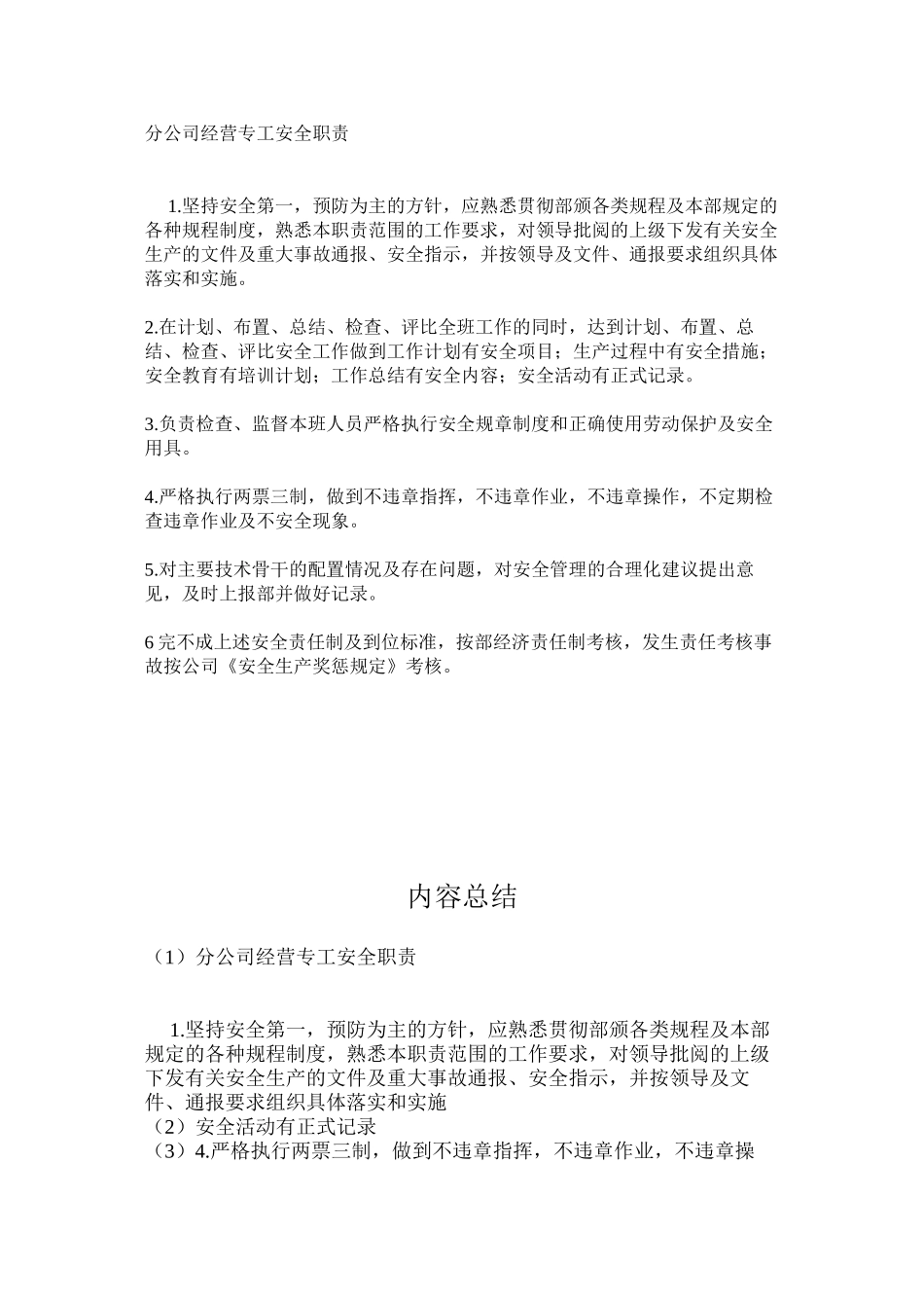 分公司经营专工安全职责_第1页