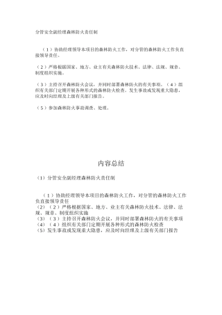 分管安全副经理森林防火责任制