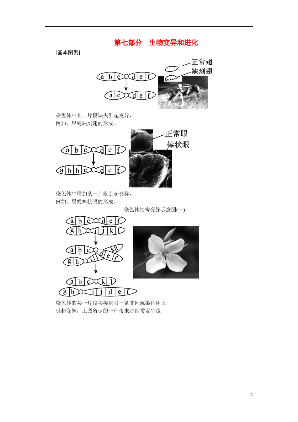 【360°导学】2014高考生物 考前回归教材（基础图例+关键语句+核心考点）第七部分 生物变异和进化_第1页