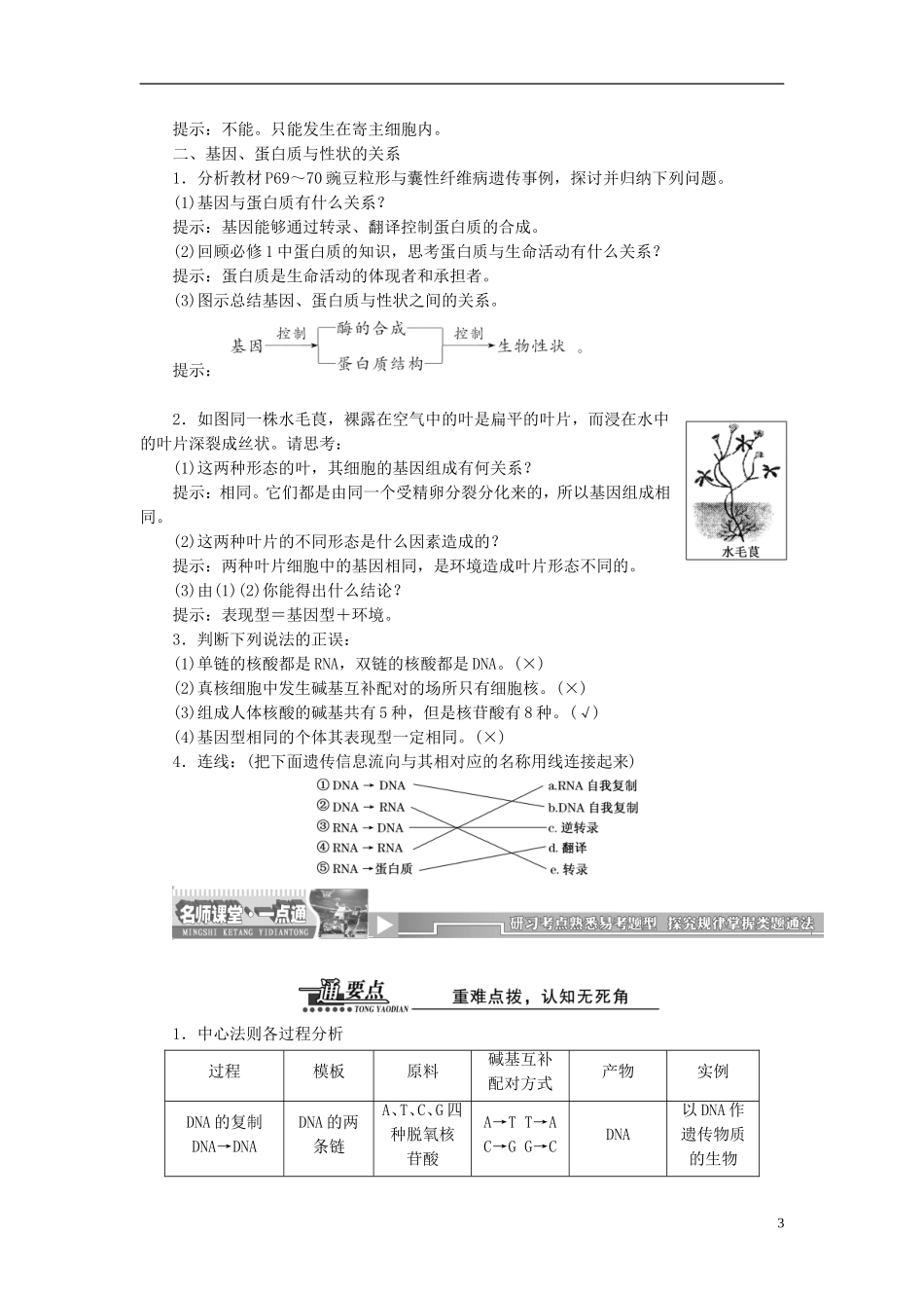 【创新方案】2013-2014学年高中生物 4.2 基因对性状的控制导学设计 新人教版必修2_第3页