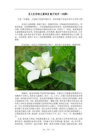 【人生百味之夏味】栀子花开（刘舜）