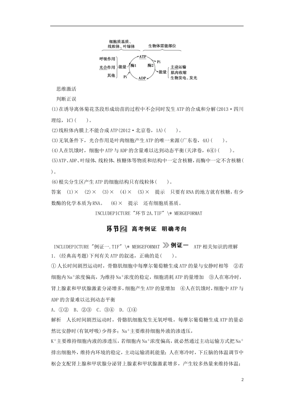 【创新设计】（山东专用）2015年高考生物 第三单元 细胞的能量供应和利用 第2讲 细胞的能量通货 ATP教学案 新人教版必修1_第2页