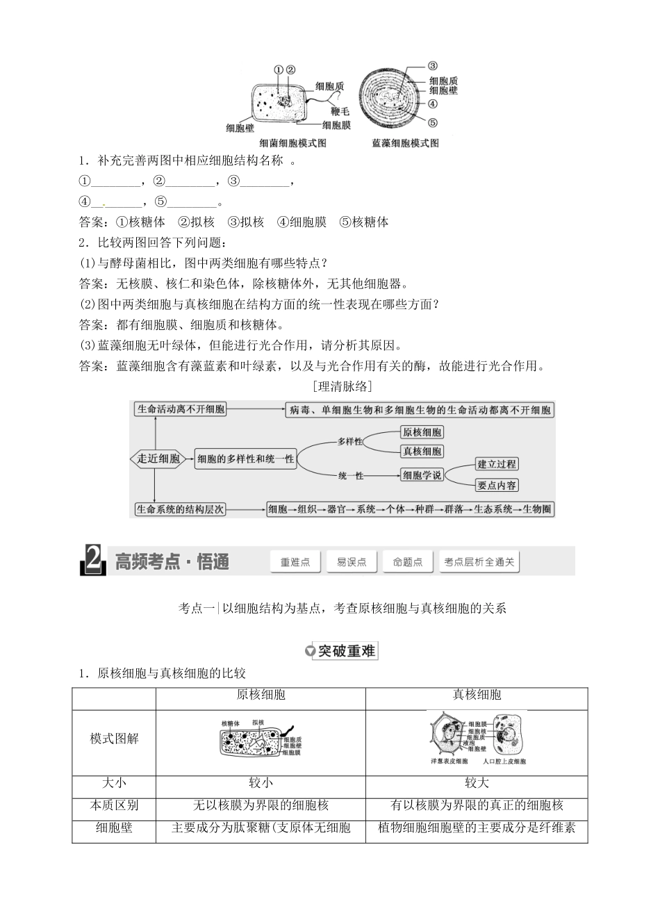 【三维设计】2015届高考生物一轮精品讲义 1.1 走近细胞 新人教版必修1_第3页