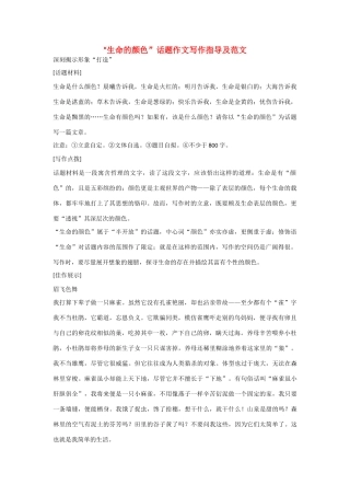 【吹尽狂沙系列】高中语文 经典话题作文题写作指导 生命的颜色话题作文写作指导及范文